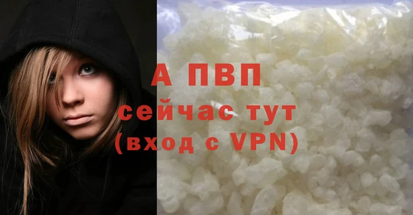 apvp Вяземский